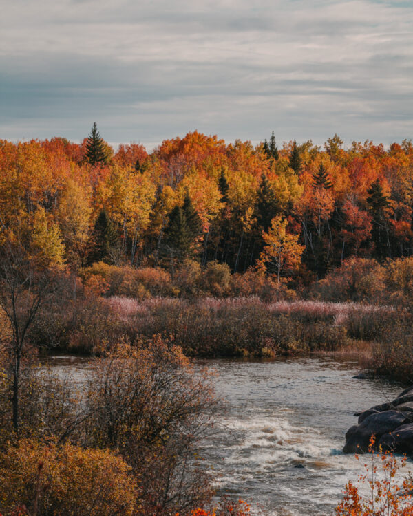 Manitoba