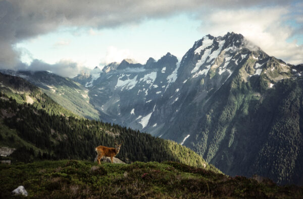 Washington State