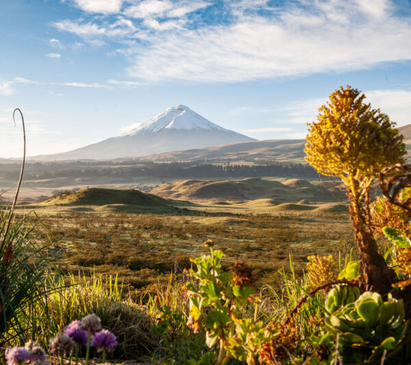 Cotopaxi