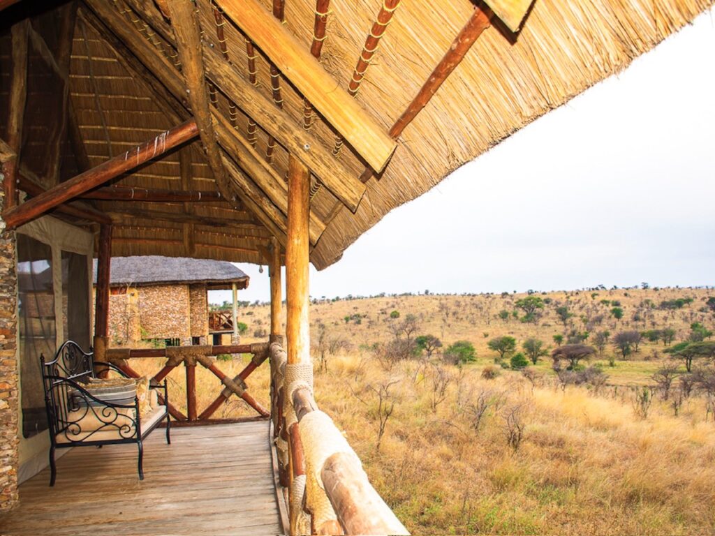 safari lodge