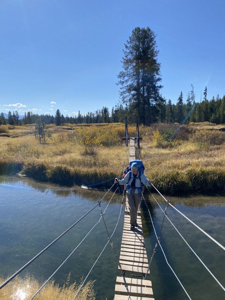 Yellowstone suspension bridge