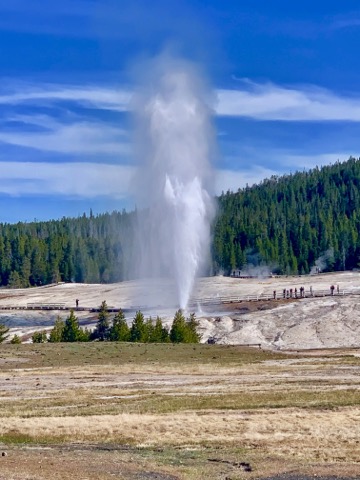 Yellowstone geyser