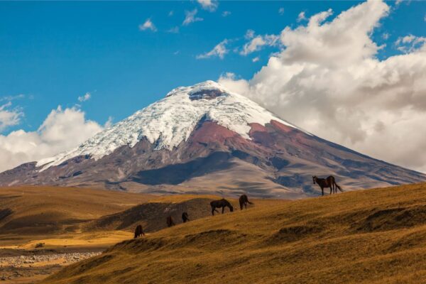 Ecuador